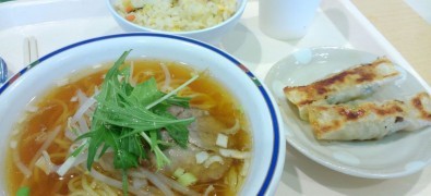 Kaisen Gyoza Hansen Junk