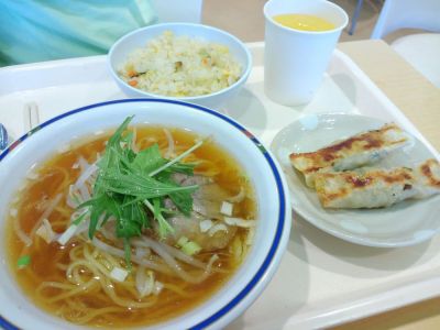 Kaisen Gyoza Hansen Junk